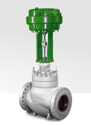 C-6943 Control Valve Cage Guided